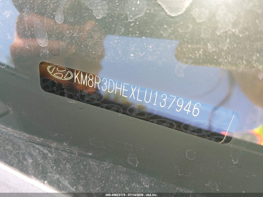 2020 Hyundai Palisade Sel VIN: KM8R3DHEXLU137946 Lot: 45623175