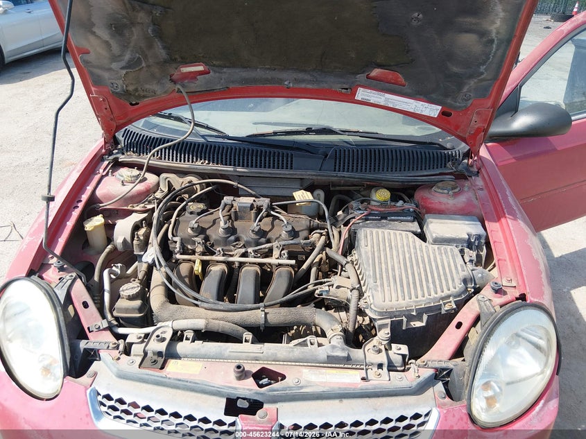 AtlanticExpress - Dodge Neon