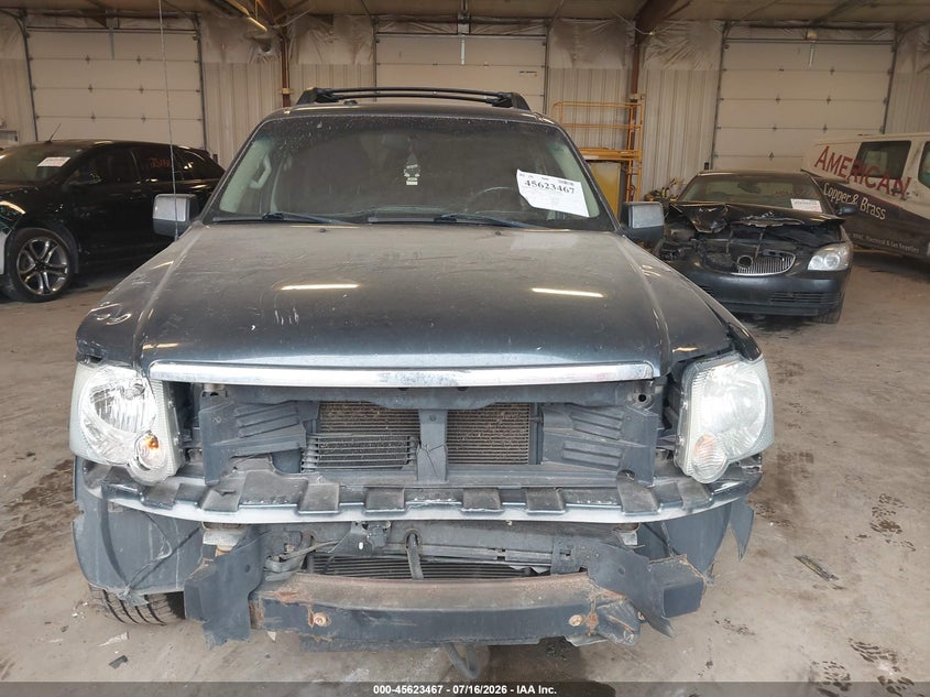 2010 Ford Explorer Sport Trac Xlt VIN: 1FMEU5B81AUA47490 Lot: 45623467