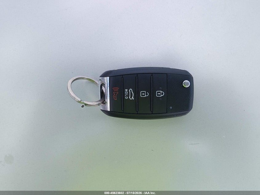 2020 Kia Rio 5-Door S VIN: 3KPA25AD7LE348838 Lot: 45623602