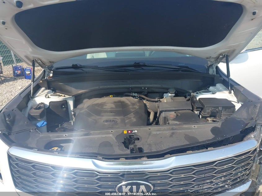 2020 Kia Telluride Ex VIN: 5XYP3DHC7LG093013 Lot: 45623610