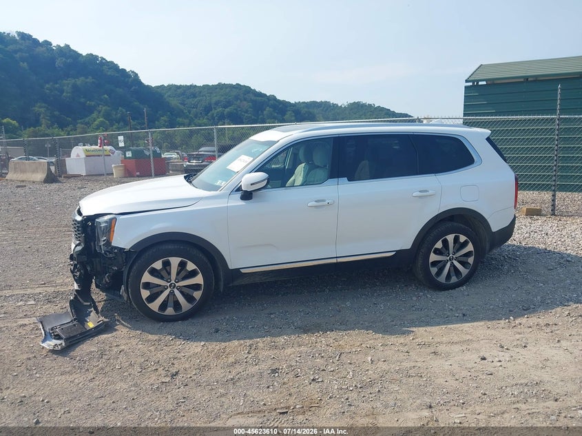 2020 Kia Telluride Ex VIN: 5XYP3DHC7LG093013 Lot: 45623610