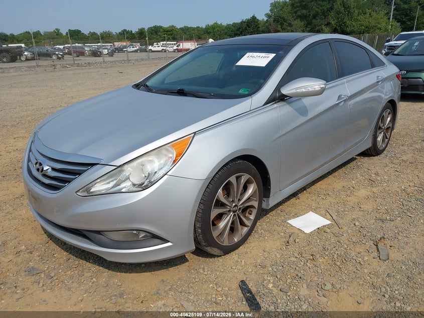 AtlanticExpress - Hyundai Sonata