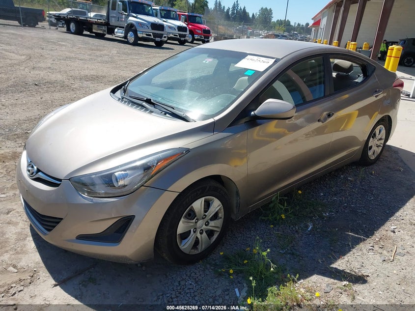 AtlanticExpress - Hyundai Elantra
