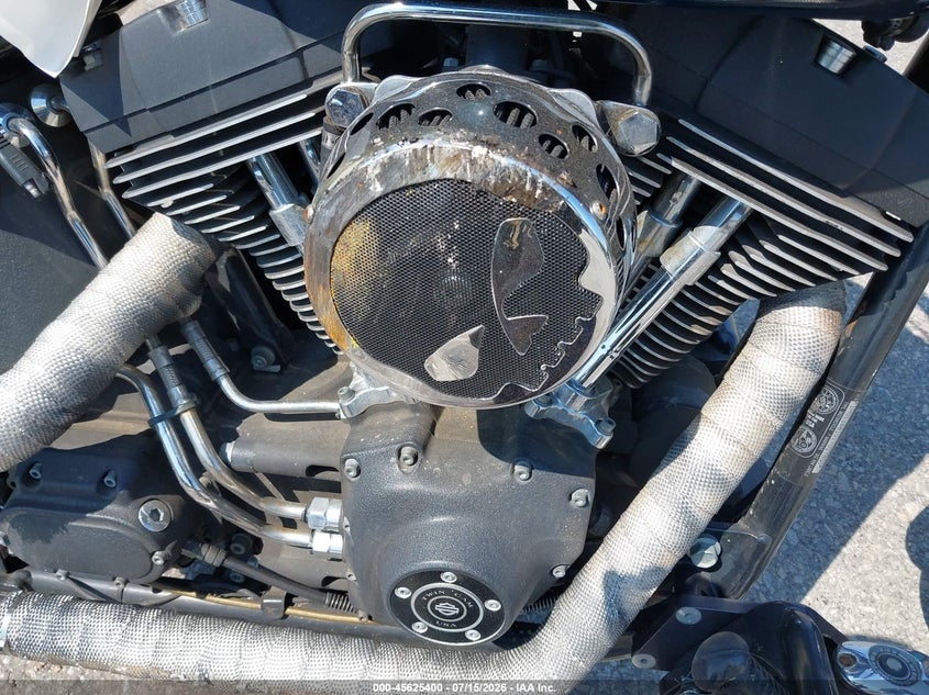 2001 Harley-Davidson Fxstbi VIN: 1HD1JAB101Y017850 Lot: 45625400