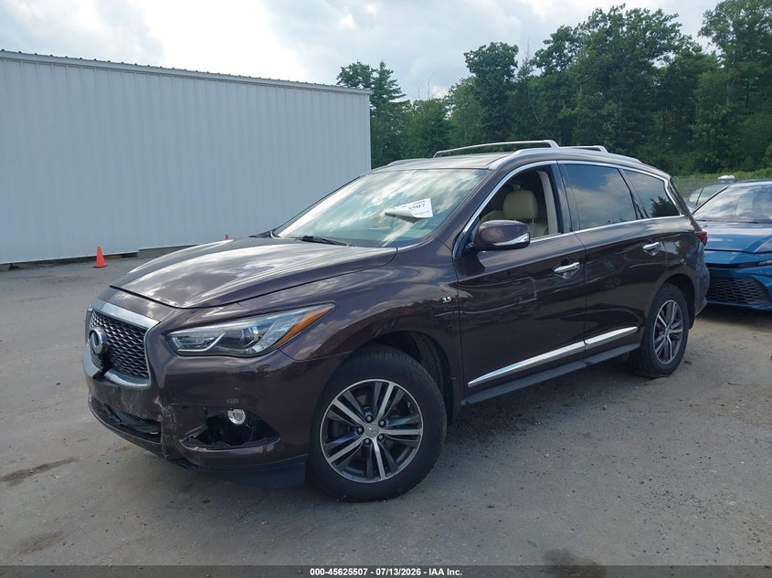 2019 INFINITI QX60 auction photo 2