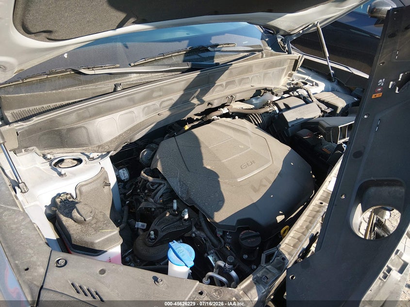 2024 Kia Telluride Ex VIN: 5XYP3DGC9RG555937 Lot: 45626229
