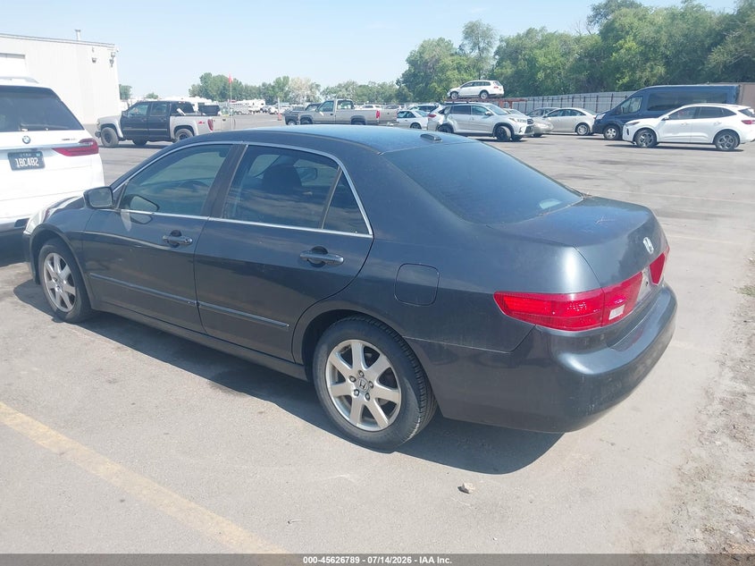 AtlanticExpress - Honda Accord