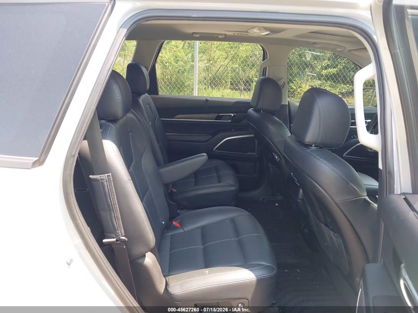 2022 Kia Telluride Ex VIN: 5XYP3DHCXNG302019 Lot: 45627260