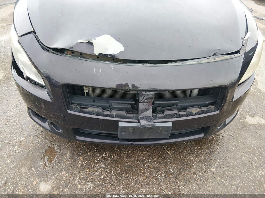2010 Nissan Maxima 3.5 Sv VIN: 1N4AA5AP4AC842775 Lot: 45627406