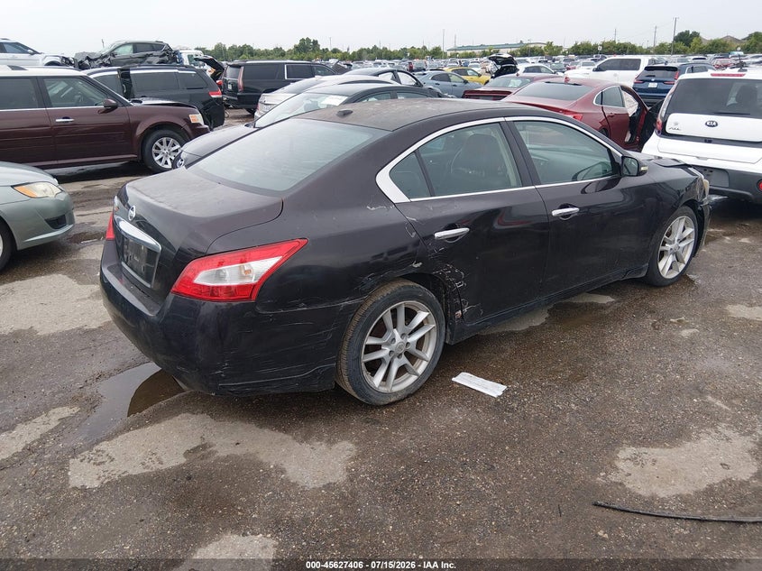 2010 Nissan Maxima 3.5 Sv VIN: 1N4AA5AP4AC842775 Lot: 45627406