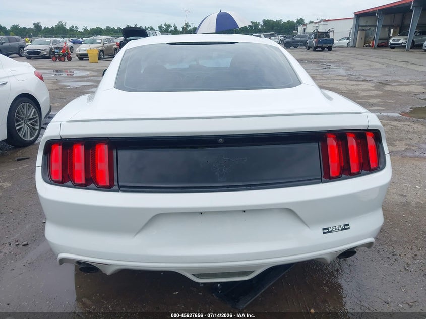 FORD MUSTANG - zdjęcie 16
