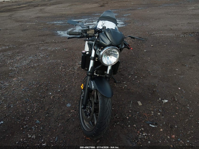 2024 SUZUKI SV MOTO 2