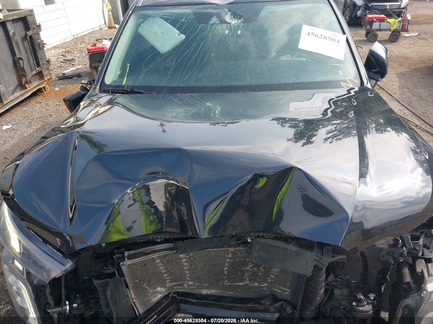 2020 Hyundai Palisade Sel VIN: KM8R34HE0LU057619 Lot: 45628504