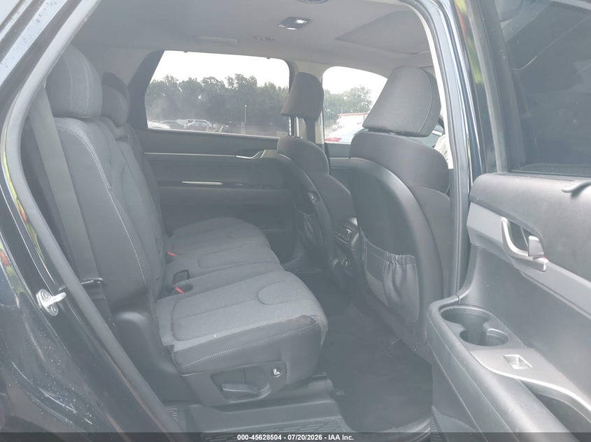 2020 Hyundai Palisade Sel VIN: KM8R34HE0LU057619 Lot: 45628504