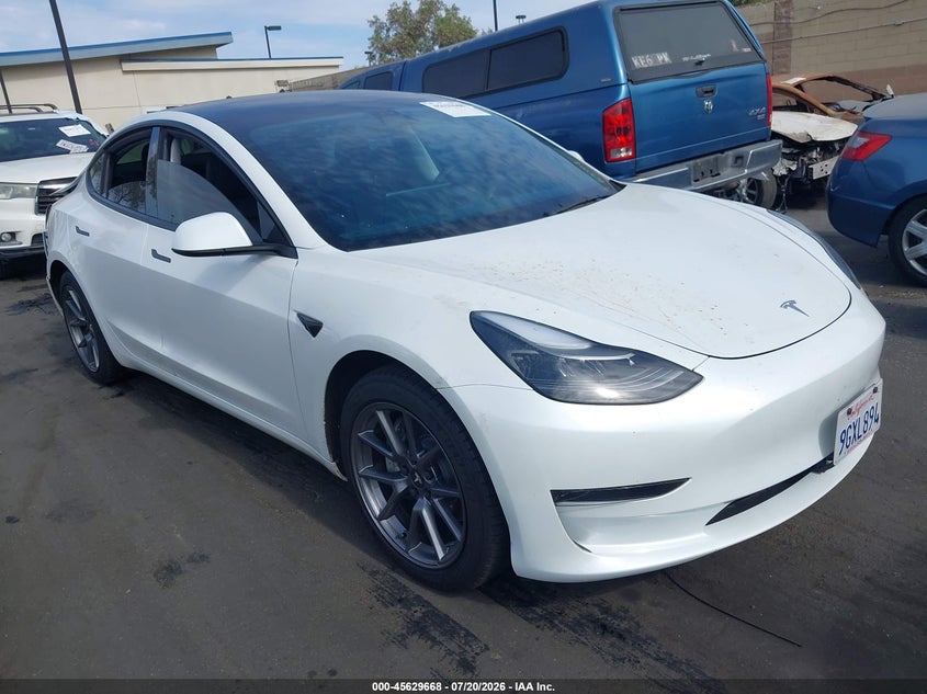 2023 Tesla Model 3 Rear-Wheel Drive VIN: 5YJ3E1EA1PF571837 Lot: 45629668