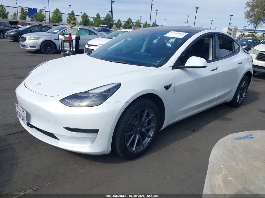 2023 Tesla Model 3 Rear-Wheel Drive VIN: 5YJ3E1EA1PF571837 Lot: 45629668