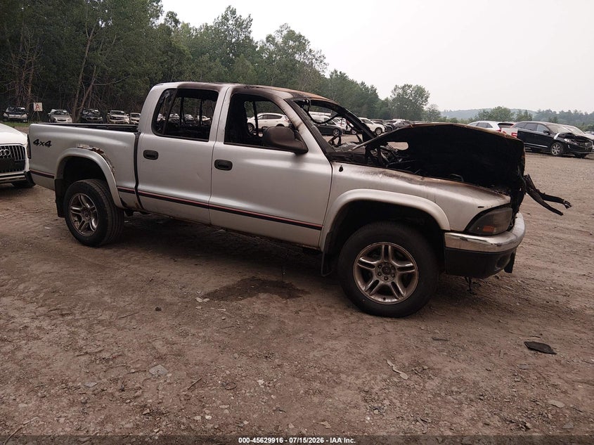 2004 Dodge Dakota Slt VIN: 1D7HG48N44S664193 Lot: 45629916