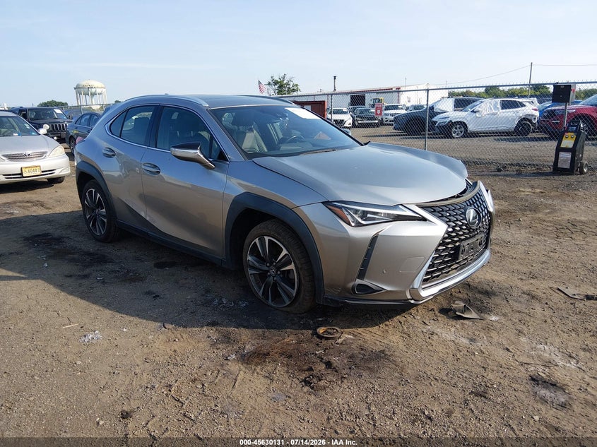 2019 Lexus Ux 200 VIN: JTHY3JBH6K2000786 Lot: 45630131