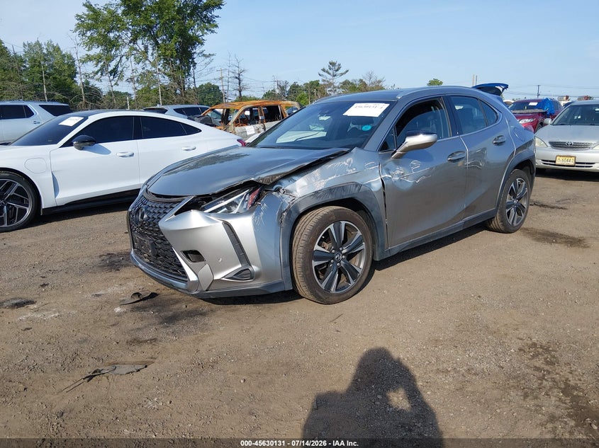 2019 Lexus Ux 200 VIN: JTHY3JBH6K2000786 Lot: 45630131