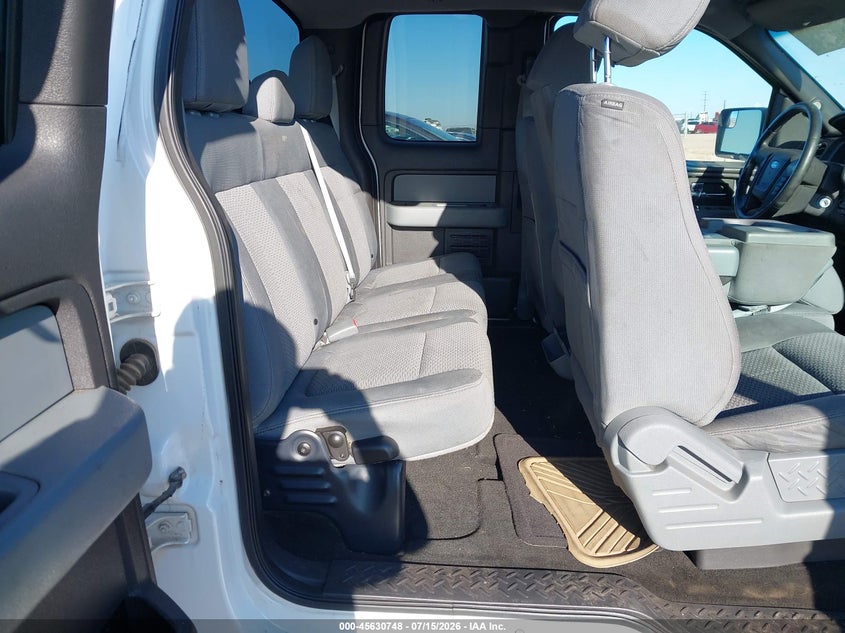 2013 Ford F-150 Xlt VIN: 1FTFX1ET6DKD70099 Lot: 45630748
