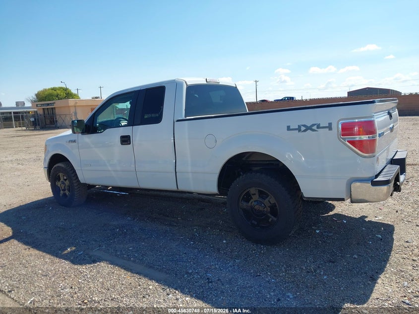 2013 Ford F-150 Xlt VIN: 1FTFX1ET6DKD70099 Lot: 45630748