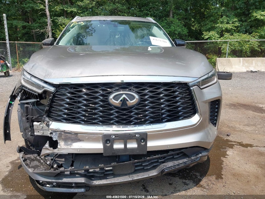 2023 Infiniti Qx60 Luxe Awd VIN: 5N1DL1FS4PC331515 Lot: 45631500
