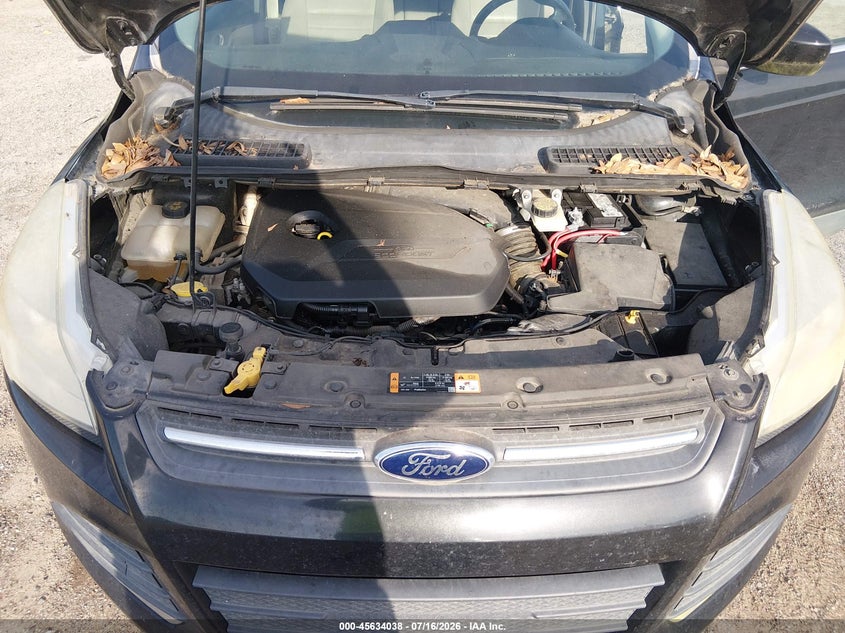 AtlanticExpress - Ford Escape