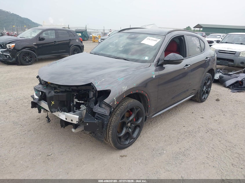 2024 ALFA ROMEO STELVIO auction photo 2