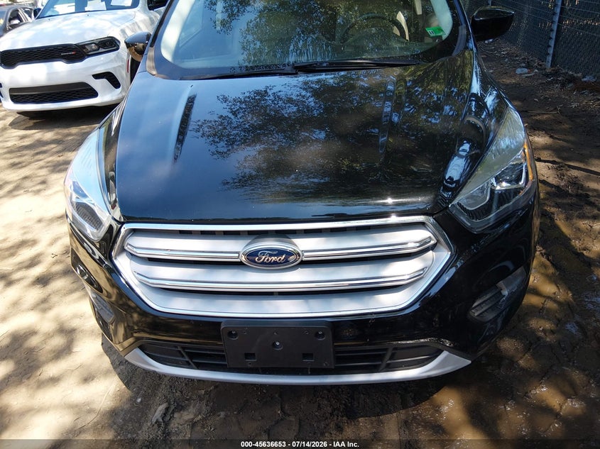 AtlanticExpress - Ford Escape