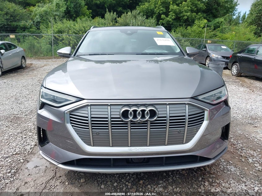 2019 Audi E-Tron Premium Plus VIN: WA1LAAGE6KB008283 Lot: 45636898
