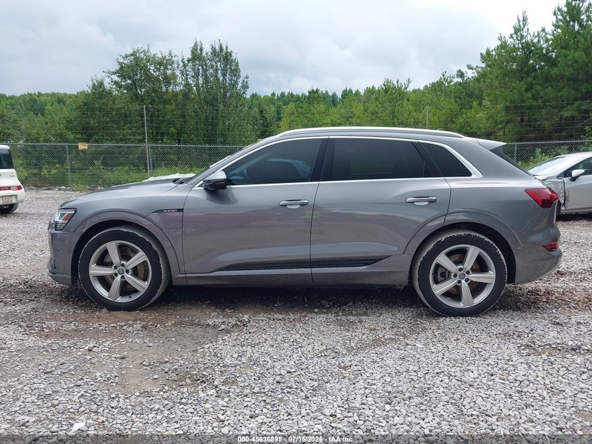 2019 Audi E-Tron Premium Plus VIN: WA1LAAGE6KB008283 Lot: 45636898
