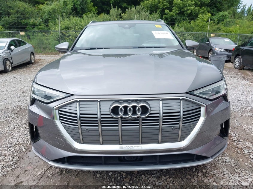 2019 Audi E-Tron Premium Plus VIN: WA1LAAGE6KB008283 Lot: 45636898