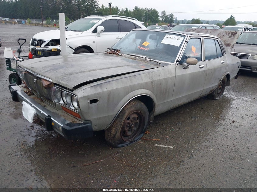 HLG810102981 1977 Datsun 810 photo 1