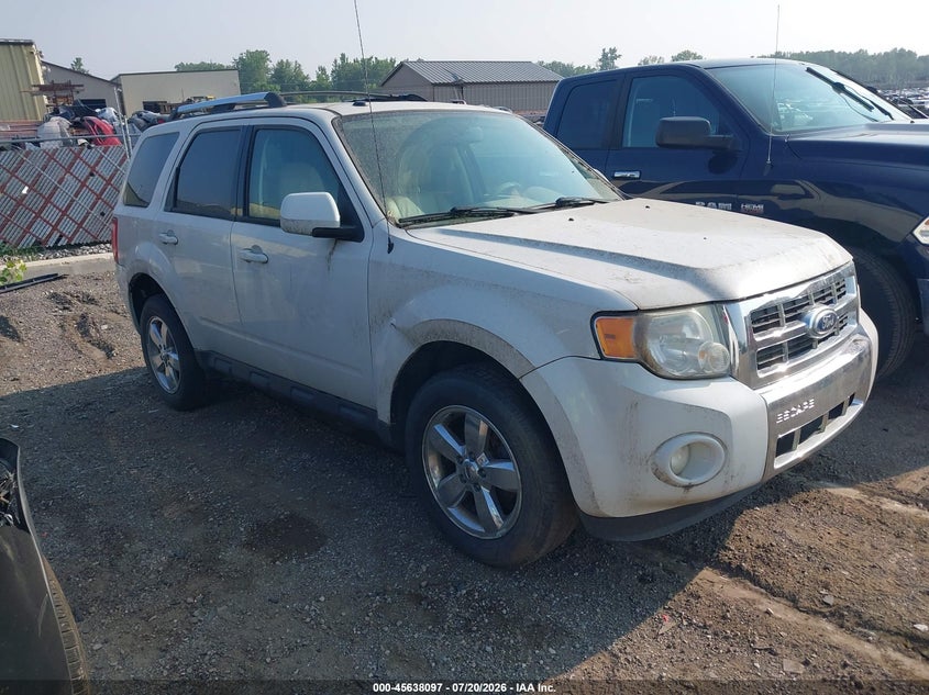 2010 Ford Escape Limited