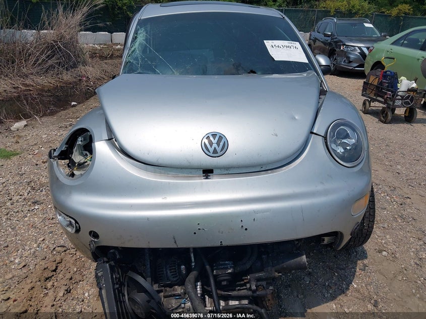 2002 Volkswagen New Beetle Gls Tdi VIN: 3VWCP21C02M421145 Lot: 45639076