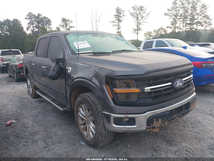 Vin: 1ftfw3l86rkd77980, lot: 46138929, ford f-150 xlt 2024 img_1