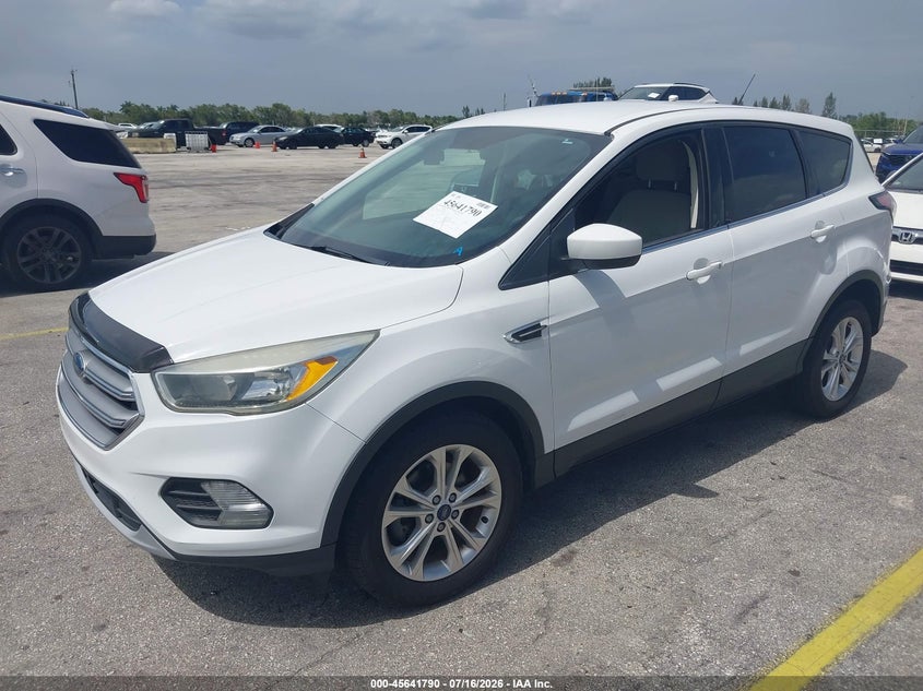 AtlanticExpress - Ford Escape
