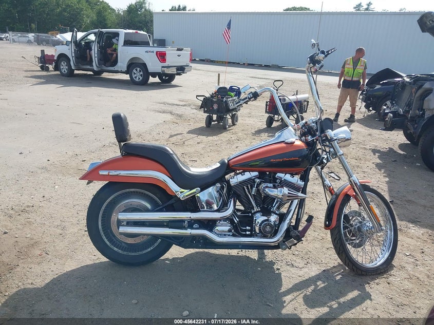 2006 Harley-Davidson Fxstdi VIN: 1HD1JBB186Y067229 Lot: 45642231