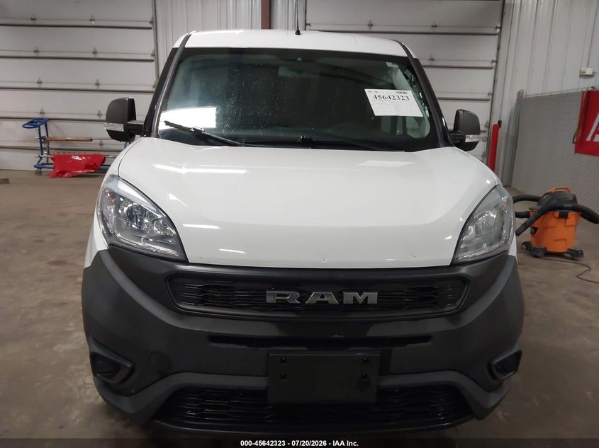 2019 Ram Promaster City Tradesman VIN: ZFBHRFAB7K6N44428 Lot: 45642323