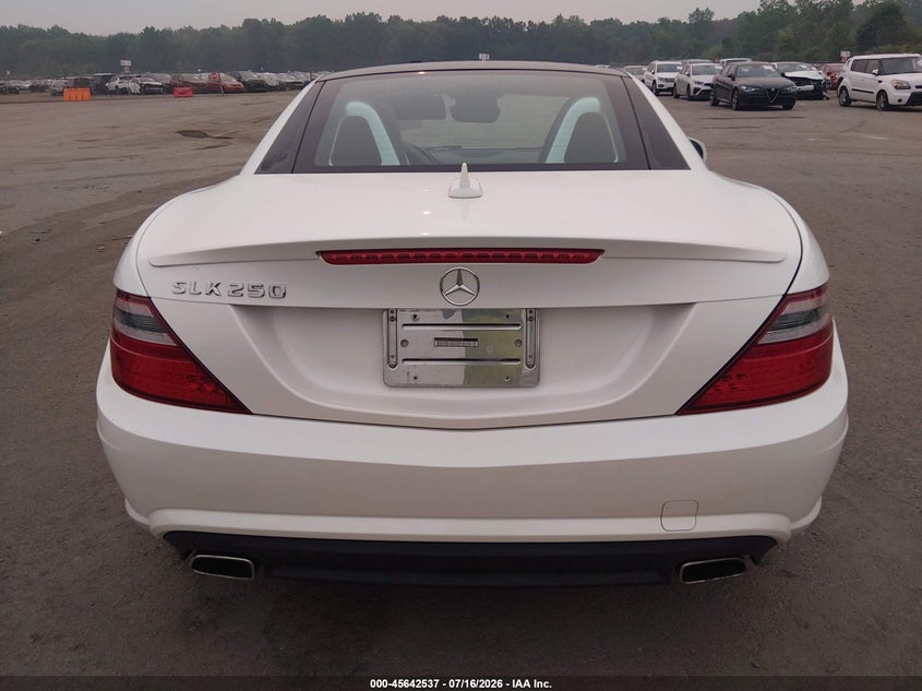 2014 Mercedes-Benz Slk 250 VIN: WDDPK4HA1EF089634 Lot: 45642537