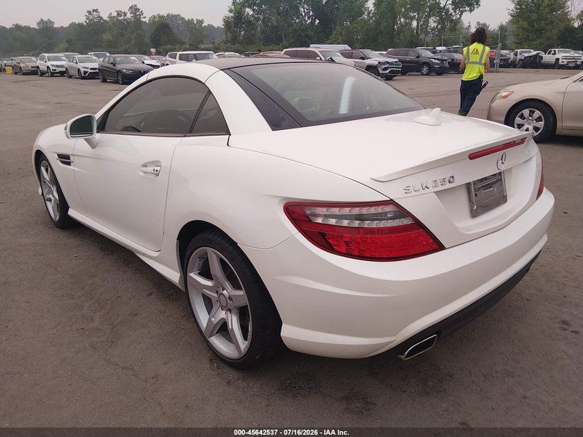 2014 Mercedes-Benz Slk 250 VIN: WDDPK4HA1EF089634 Lot: 45642537
