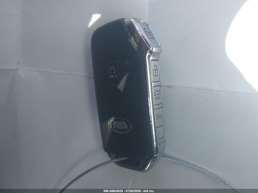 2021 Kia Telluride Sx VIN: 5XYP5DHC5MG165077 Lot: 45642625