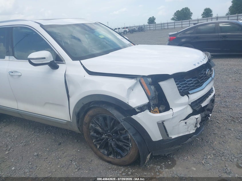 2021 Kia Telluride Sx VIN: 5XYP5DHC5MG165077 Lot: 45642625