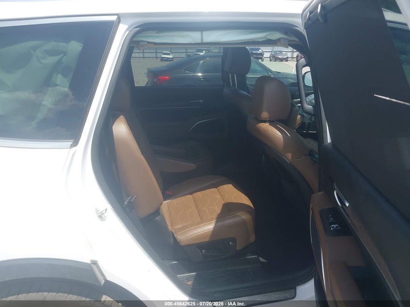 2021 Kia Telluride Sx VIN: 5XYP5DHC5MG165077 Lot: 45642625