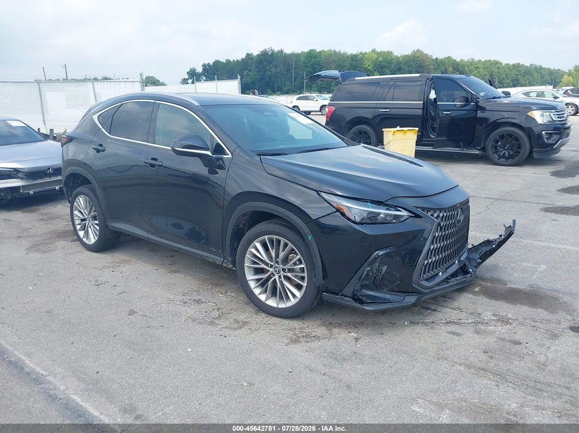 Vin: 2t2gkcez4sc055346, lot: 46141304, lexus nx 350h premium 2025 img_1