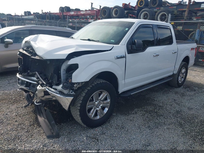 FORD F-150 2019 VIN 1FTEW1E45KFA74021