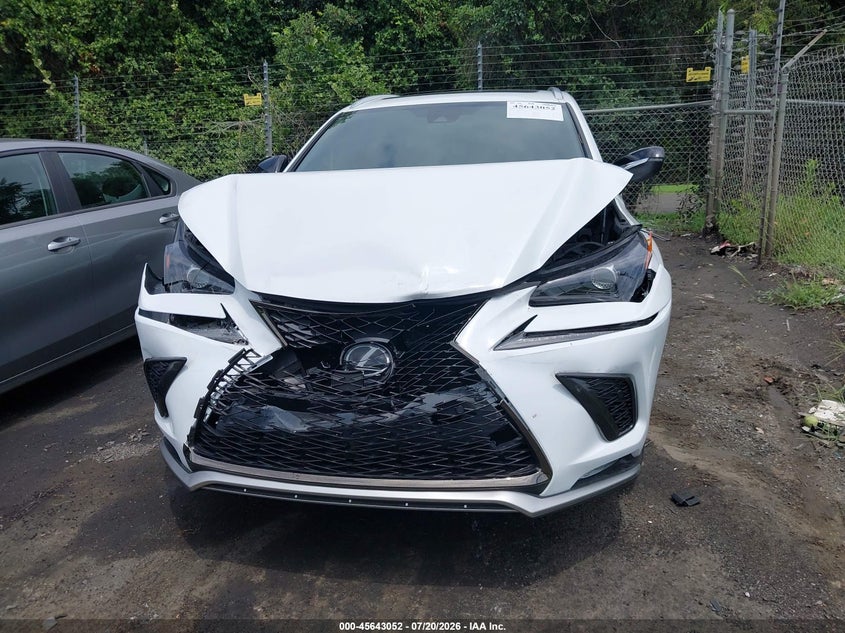 2021 Lexus Nx 300 F Sport VIN: JTJSARBZ6M5032348 Lot: 45643052