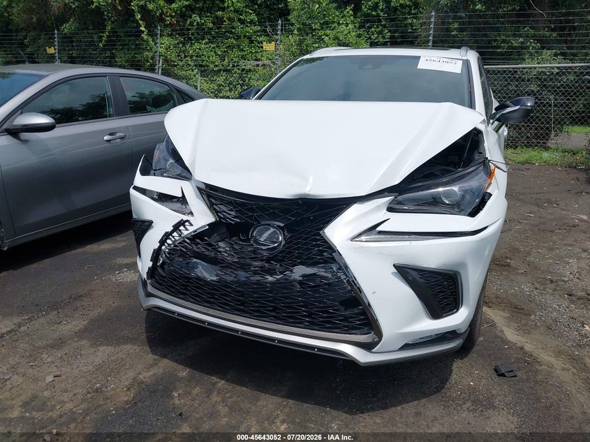 2021 Lexus Nx 300 F Sport VIN: JTJSARBZ6M5032348 Lot: 45643052