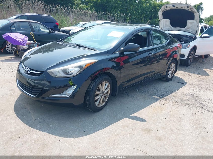 AtlanticExpress - Hyundai Elantra